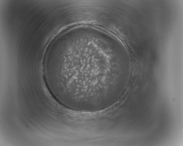 X0000071960002200607212304