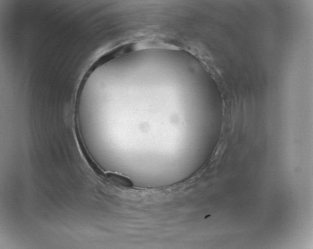 X0000071960003200607212304