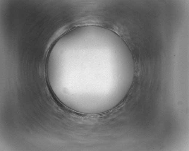 X0000071960004200607212304