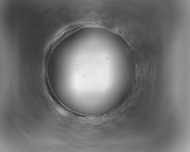 X0000071960005200607212304