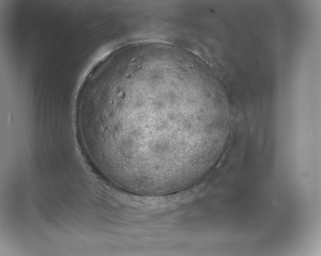 X0000071960006200607212304