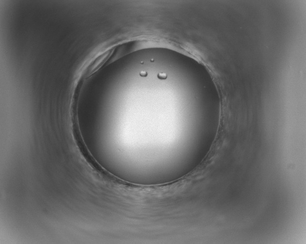 X0000071960007200607212304