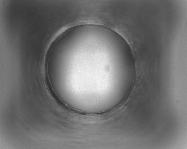 X0000071960008200607212304