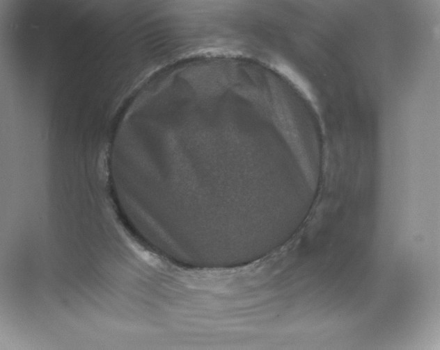 X0000071960009200607212304