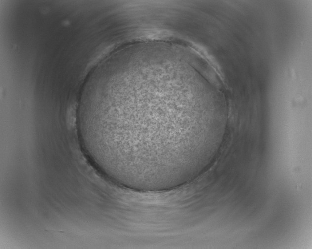 X0000071960010200607212304