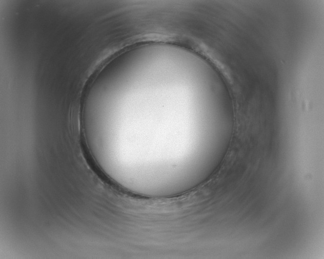 X0000071960011200607212304