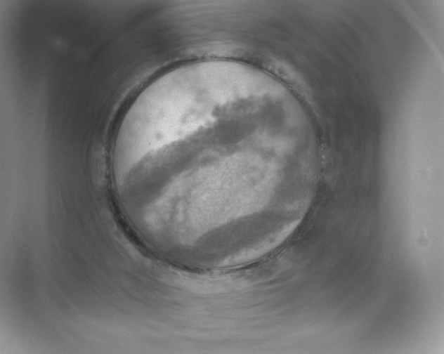 X0000071960012200607212304