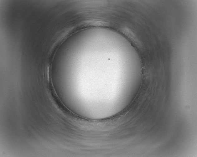 X0000071960014200607212304