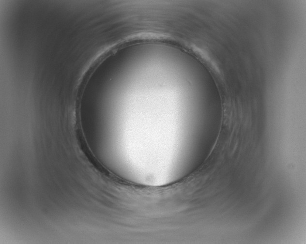 X0000071960015200607212304