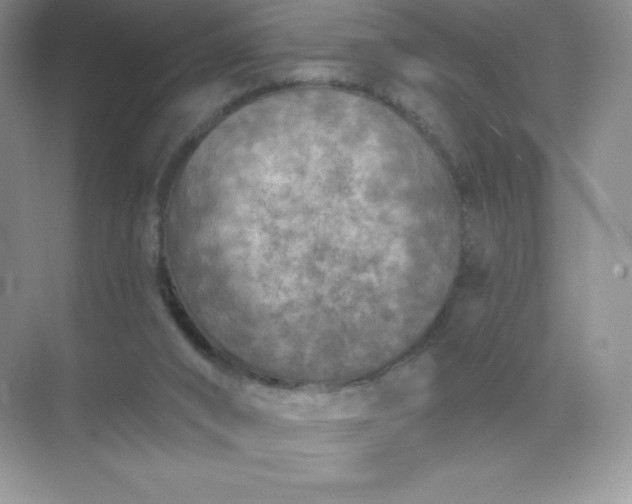 X0000071960016200607212304