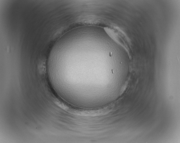 X0000071960017200607212304