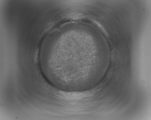 X0000071960018200607212304