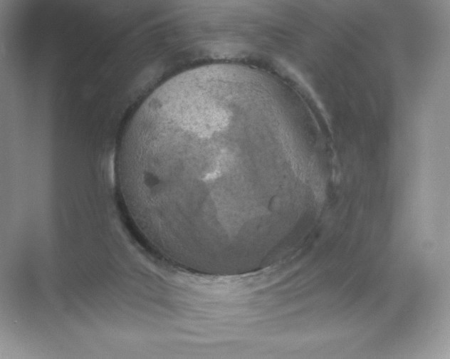 X0000071960019200607212304