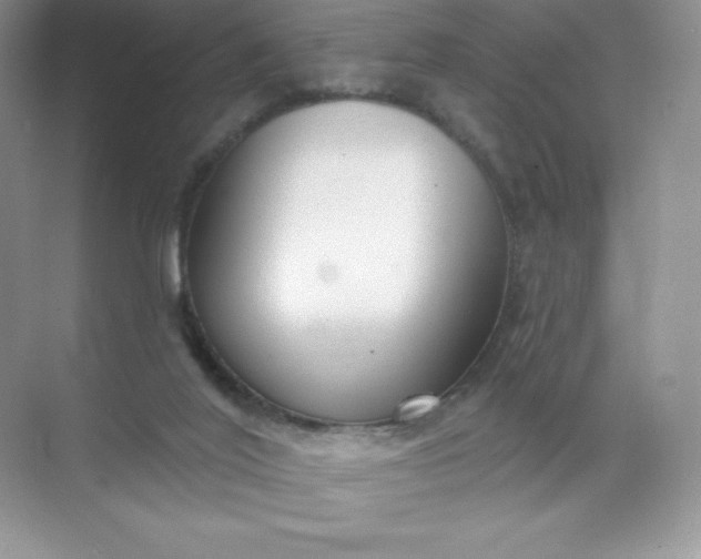 X0000071960020200607212304