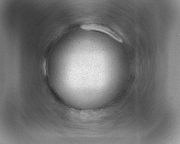 X0000071960022200607212304