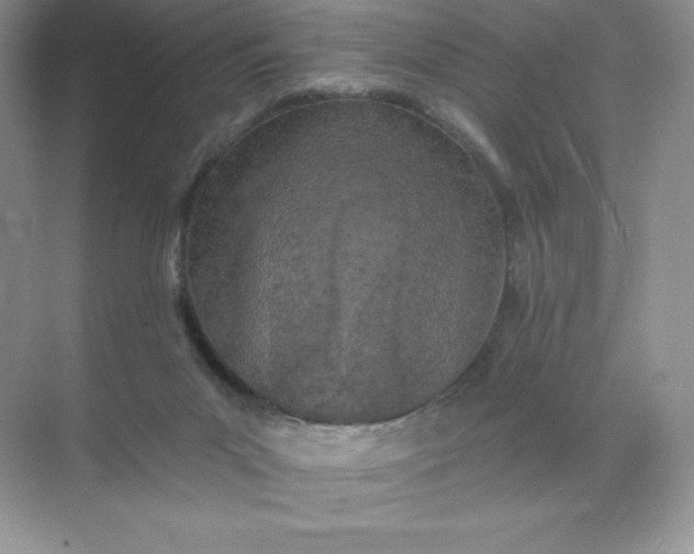 X0000071960023200607212304