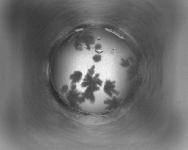 X0000071960024200607212304