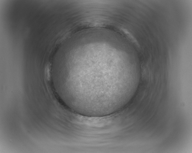 X0000071960026200607212304