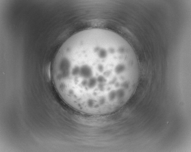 X0000071960028200607212304