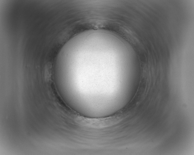 X0000071960030200607212304