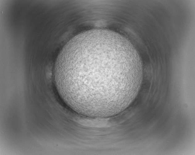 X0000071960032200607212304