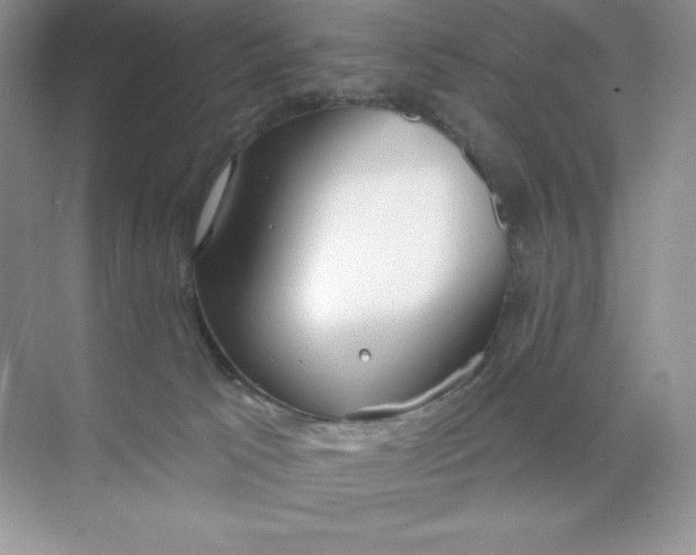 X0000071960033200607212304