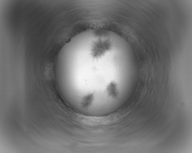 X0000071960034200607212304