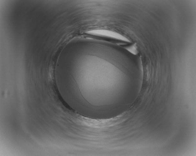 X0000071960035200607212304