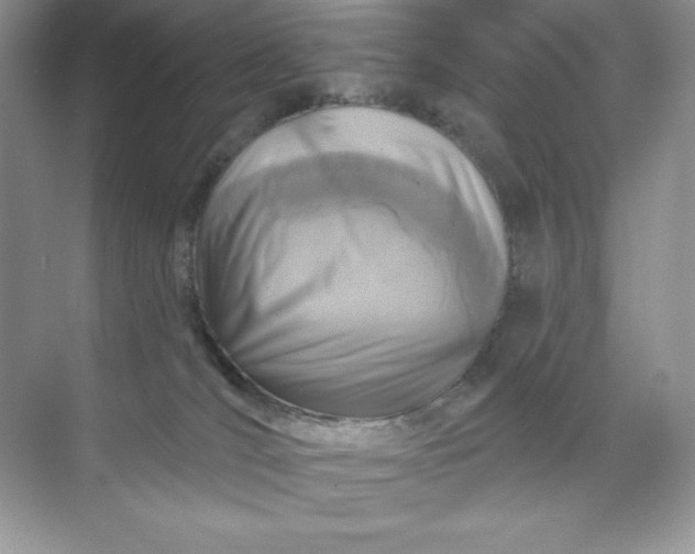 X0000071960036200607212304