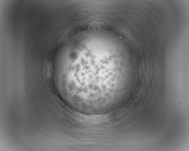 X0000071960038200607212304