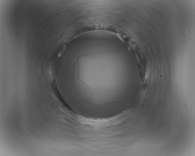 X0000071960039200607212304