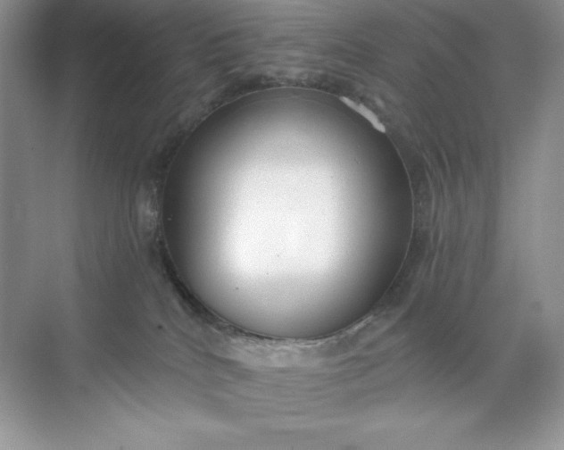 X0000071960040200607212304