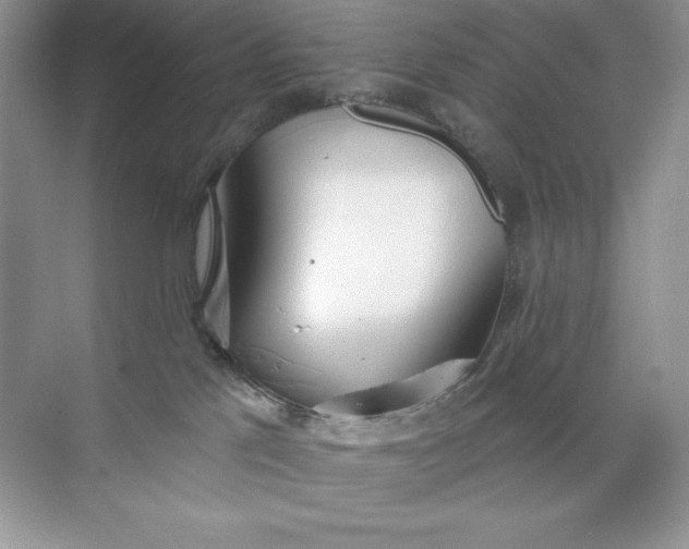 X0000071960041200607212303