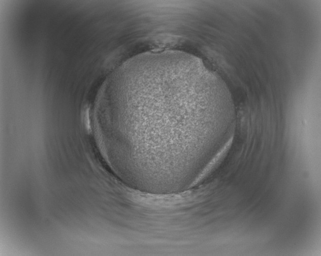 X0000071960042200607212303