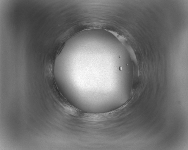 X0000071960045200607212303