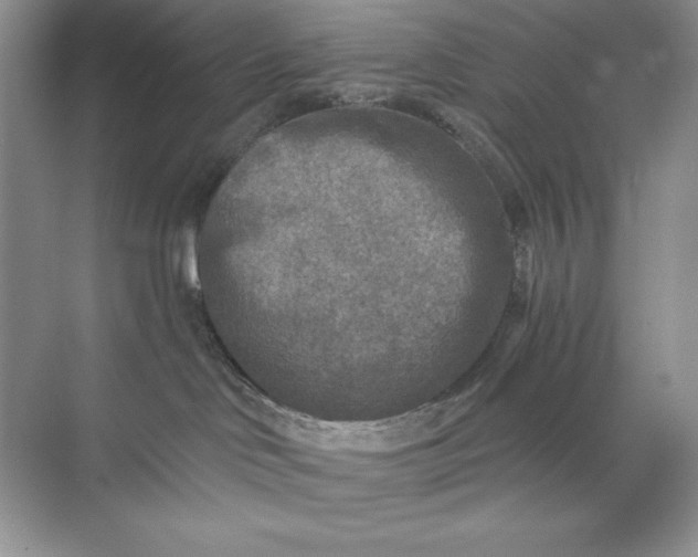 X0000071960046200607212303