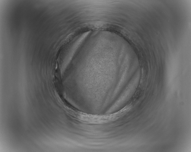 X0000071960048200607212303