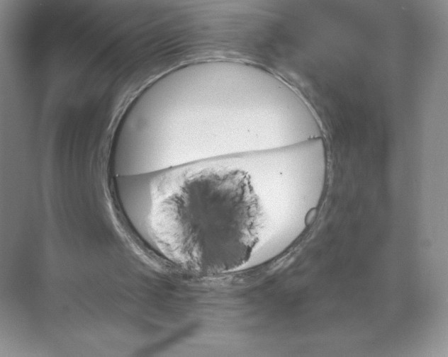 X0000071960049200607212303