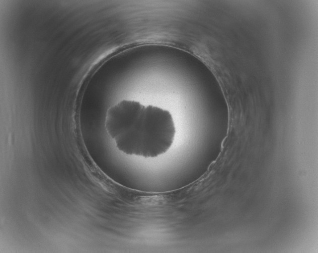 X0000071960050200607212303