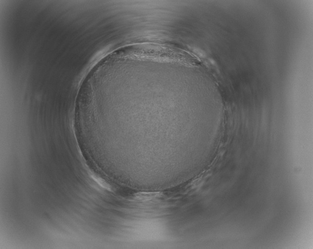 X0000071960051200607212303