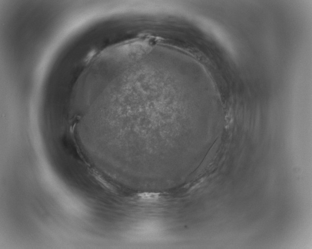 X0000071960052200607212303