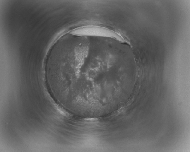 X0000071960053200607212303