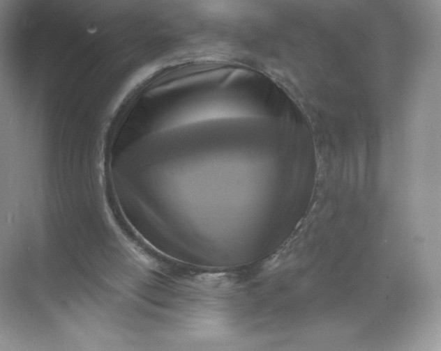 X0000071960054200607212303