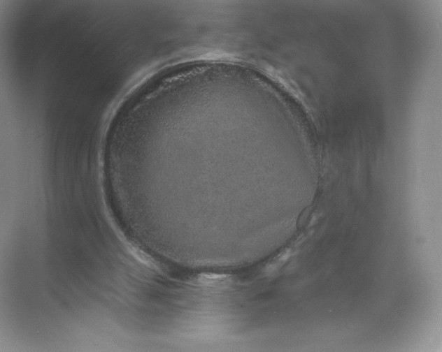 X0000071960055200607212303