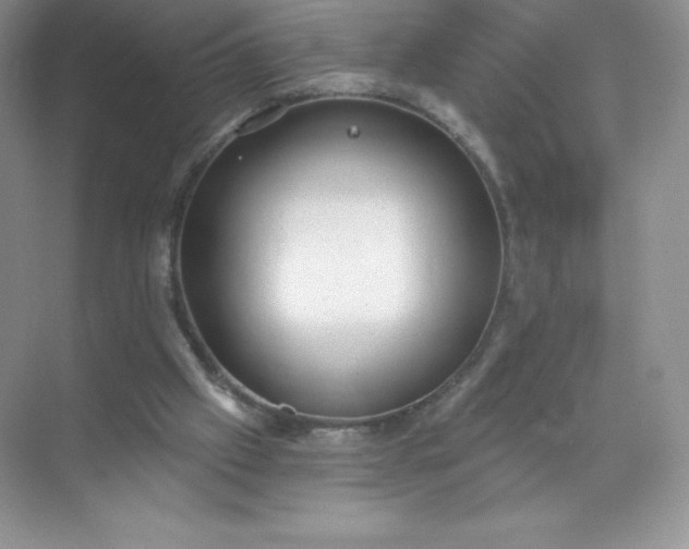 X0000071960057200607212303