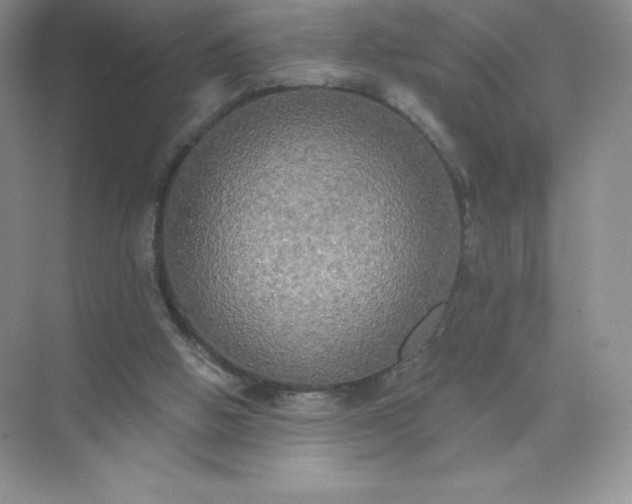 X0000071960058200607212303