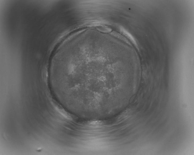 X0000071960059200607212303