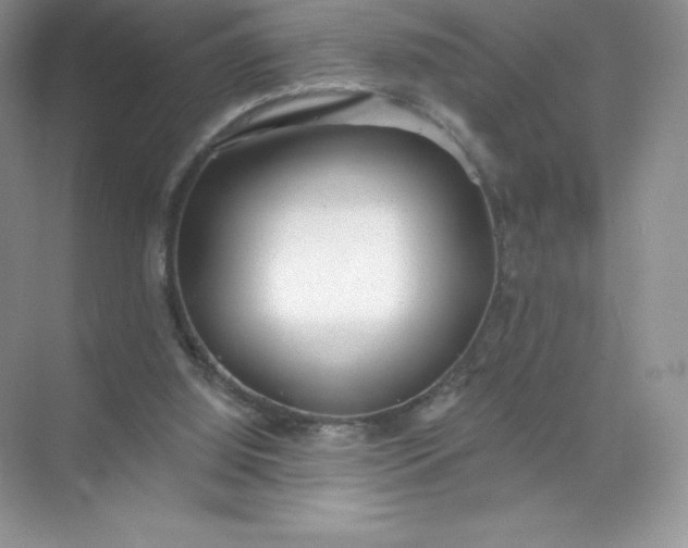 X0000071960060200607212303