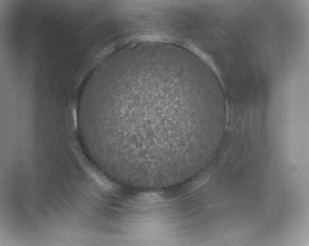 X0000071960061200607212303