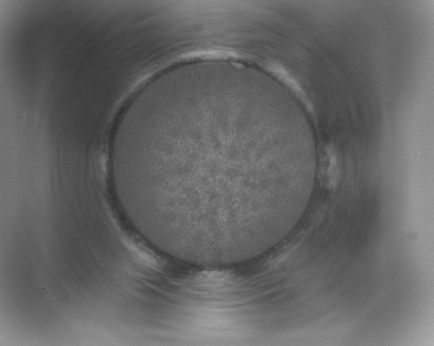 X0000071960063200607212303